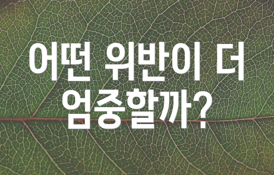 어떤 위반이 더 엄중할까?