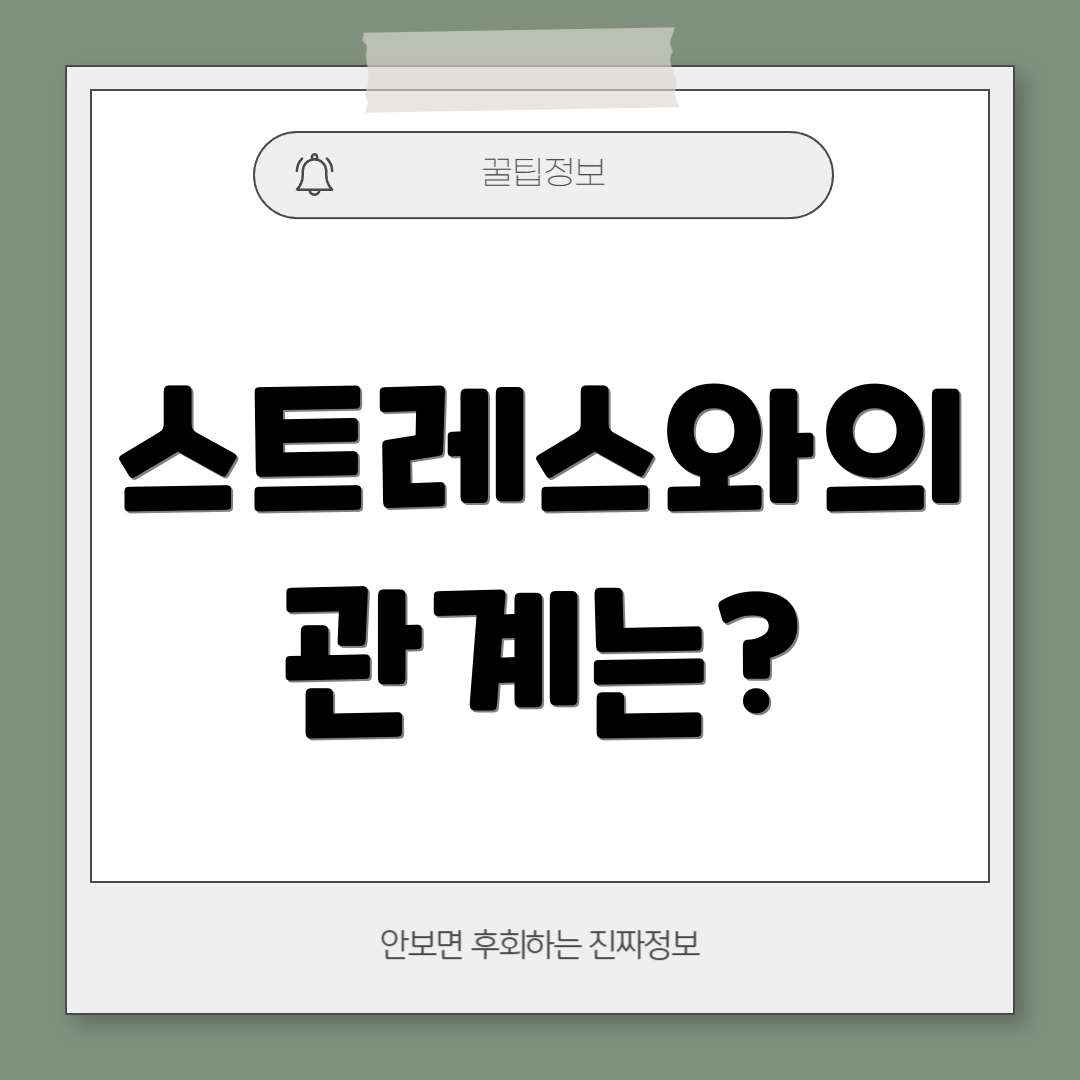 스트레스와의 관계는?