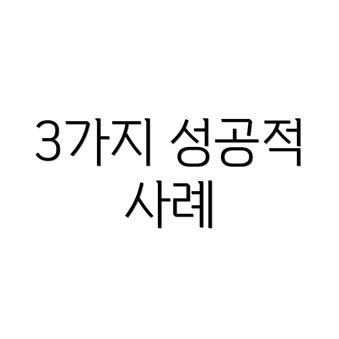3가지 성공적 사례