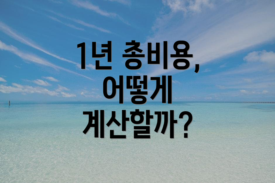 1년 총비용, 어떻게 계산할까?