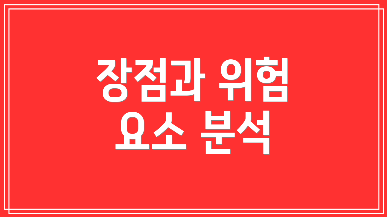 장점과 위험 요소 분석