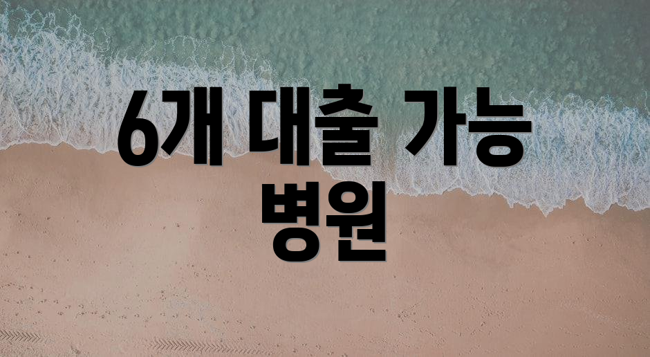 6개 대출 가능 병원