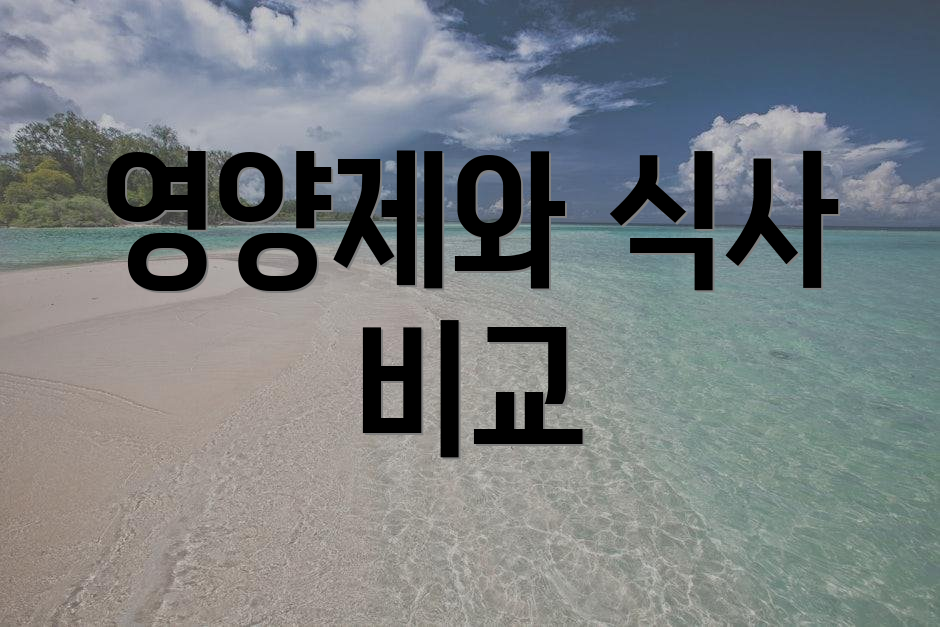 영양제와 식사 비교