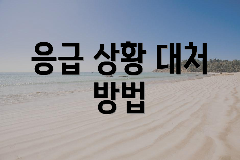 응급 상황 대처 방법