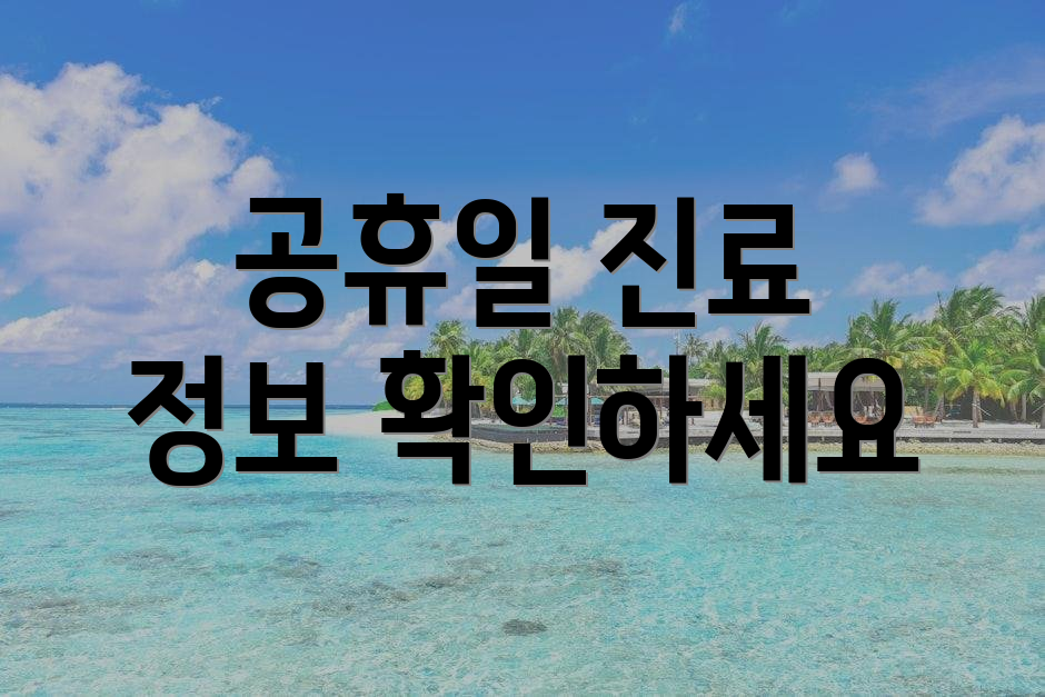 공휴일 진료 정보 확인하세요