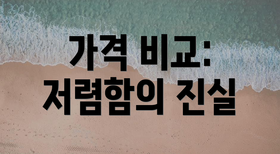 가격 비교: 저렴함의 진실