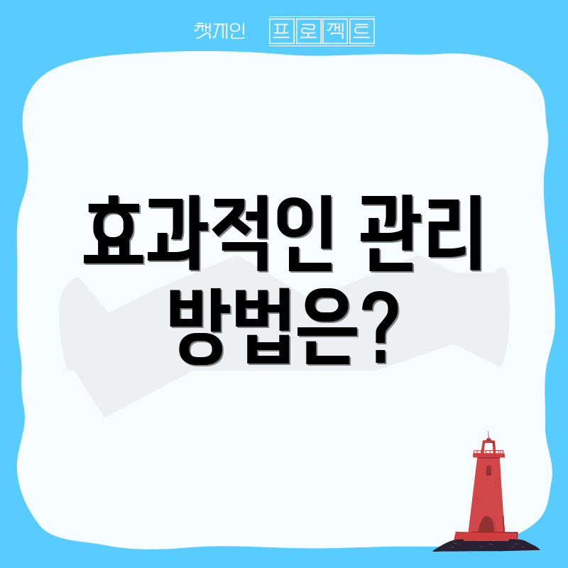 효과적인 관리 방법은?