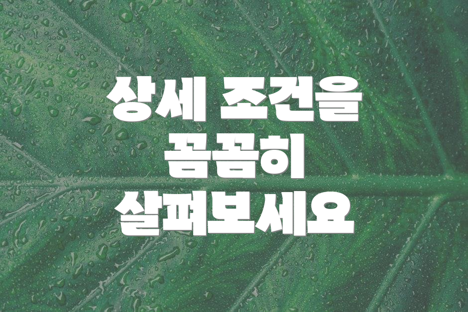 상세 조건을 꼼꼼히 살펴보세요