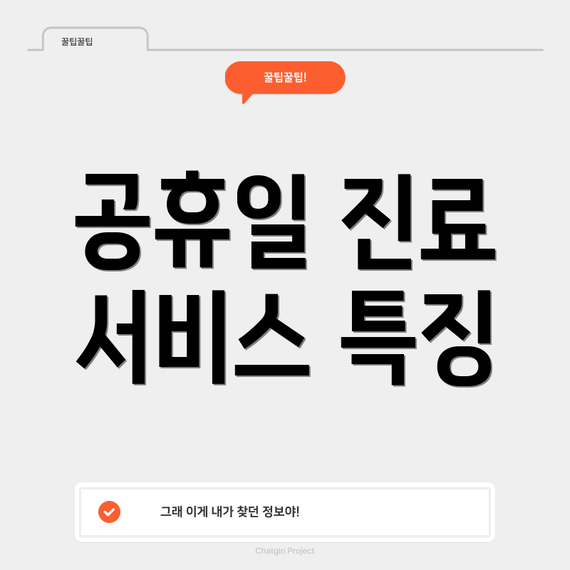 공휴일 진료 서비스 특징