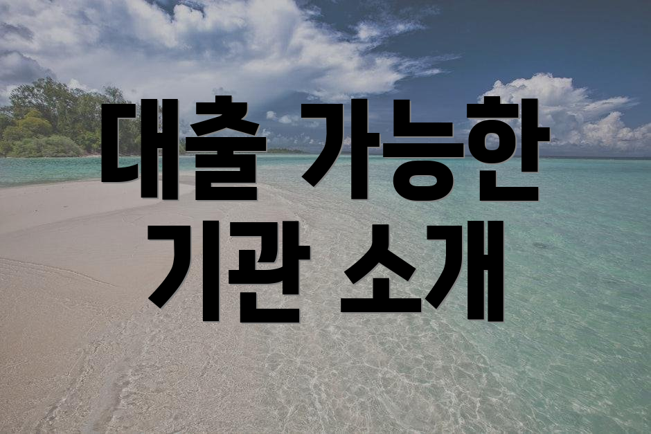대출 가능한 기관 소개