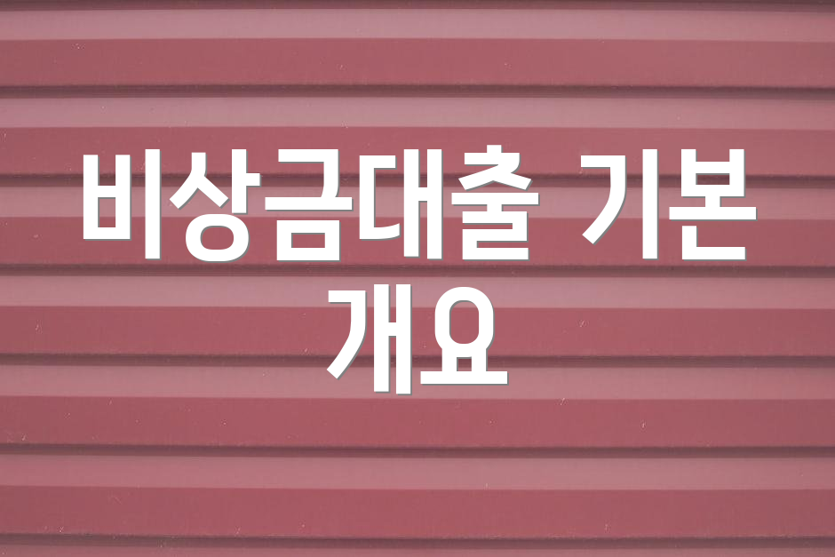 비상금대출 기본 개요