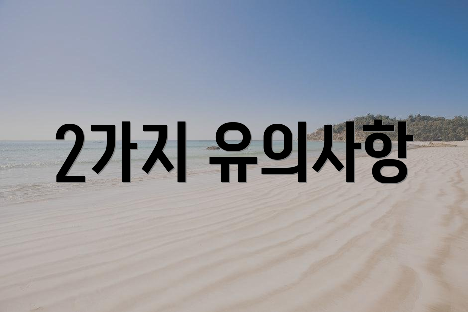 2가지 유의사항