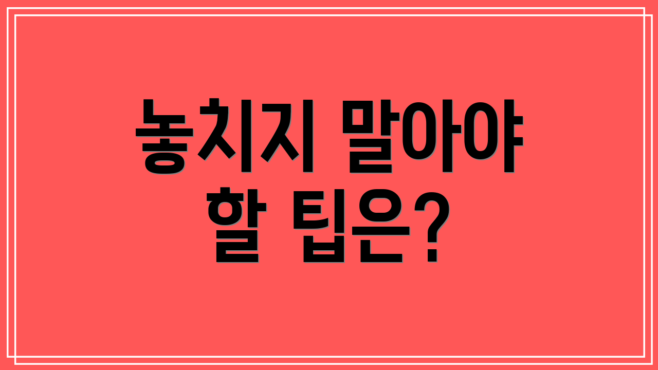 놓치지 말아야 할 팁은?
