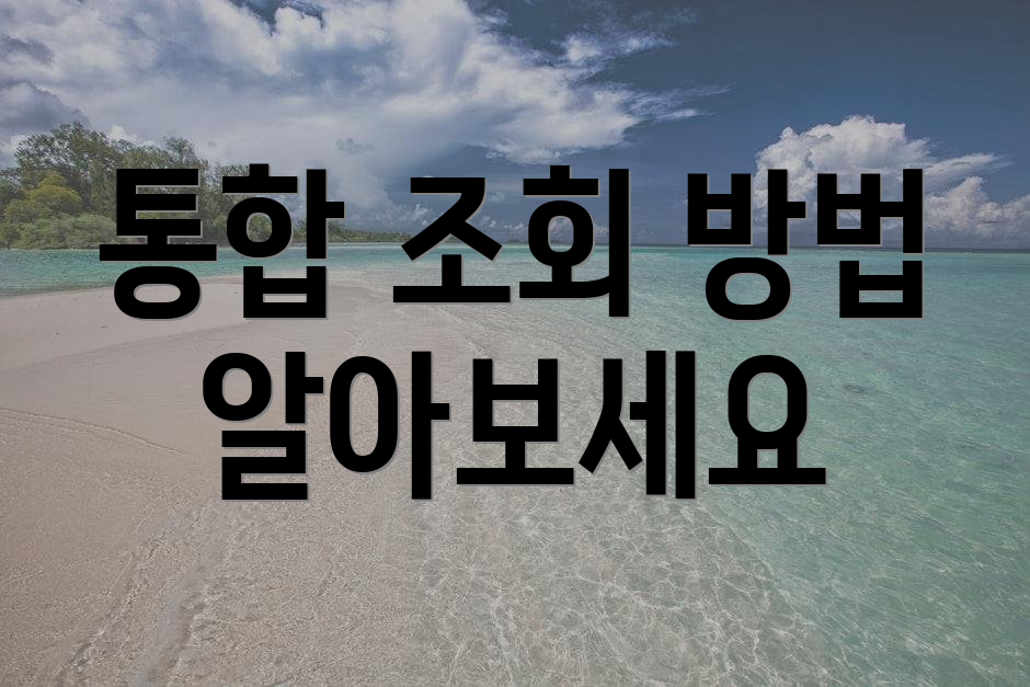 통합 조회 방법 알아보세요