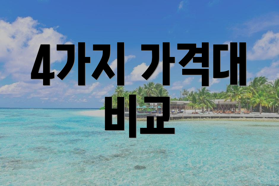 4가지 가격대 비교