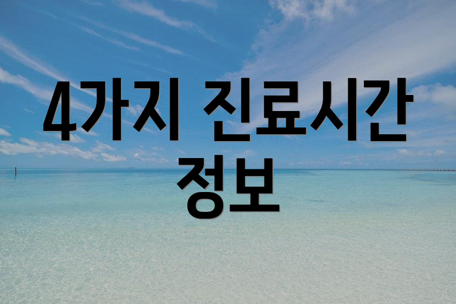 4가지 진료시간 정보