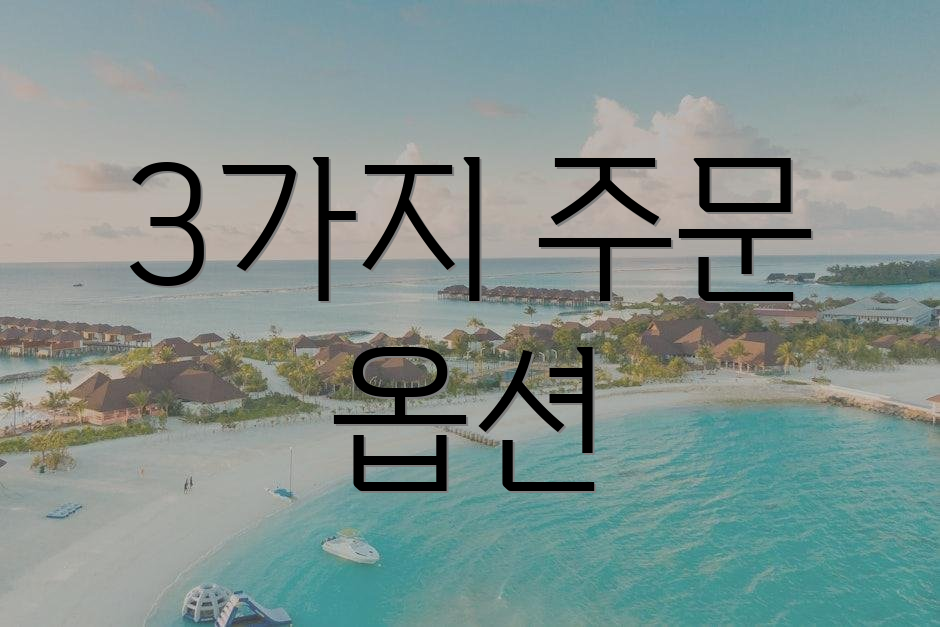 3가지 주문 옵션