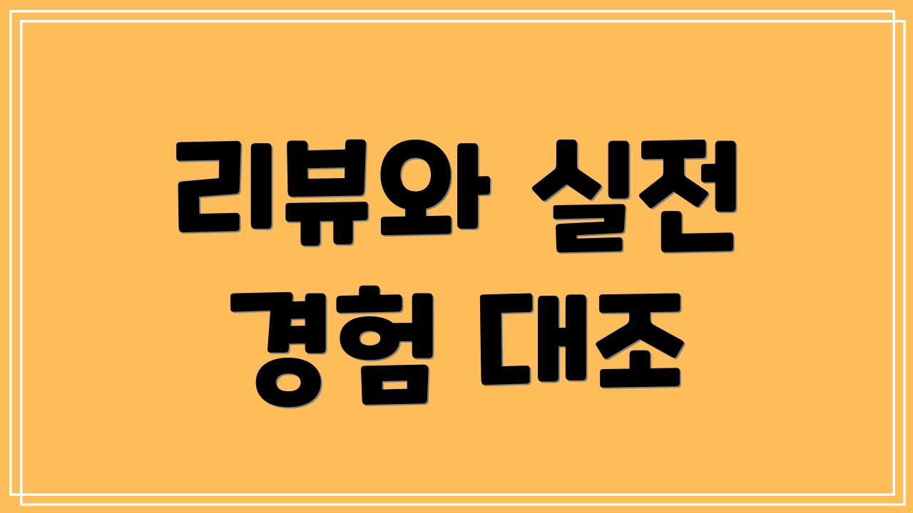 리뷰와 실전 경험 대조