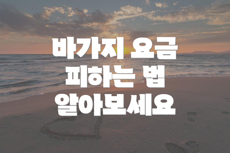 바가지 요금 피하는 법 알아보세요