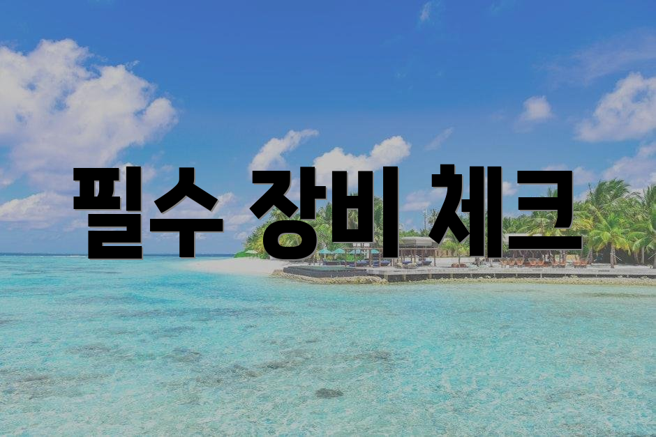 필수 장비 체크