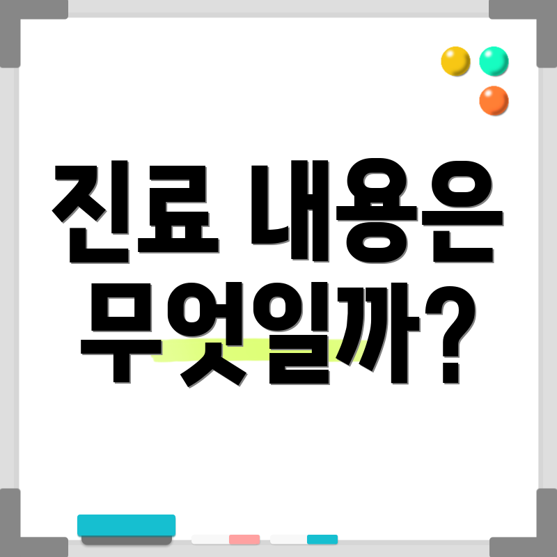 진료 내용은 무엇일까?