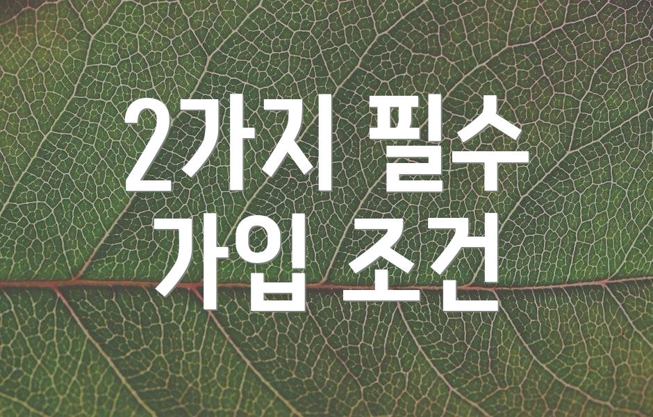 2가지 필수 가입 조건