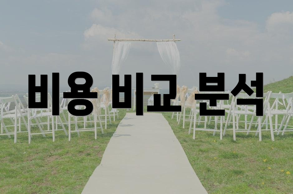 비용 비교 분석