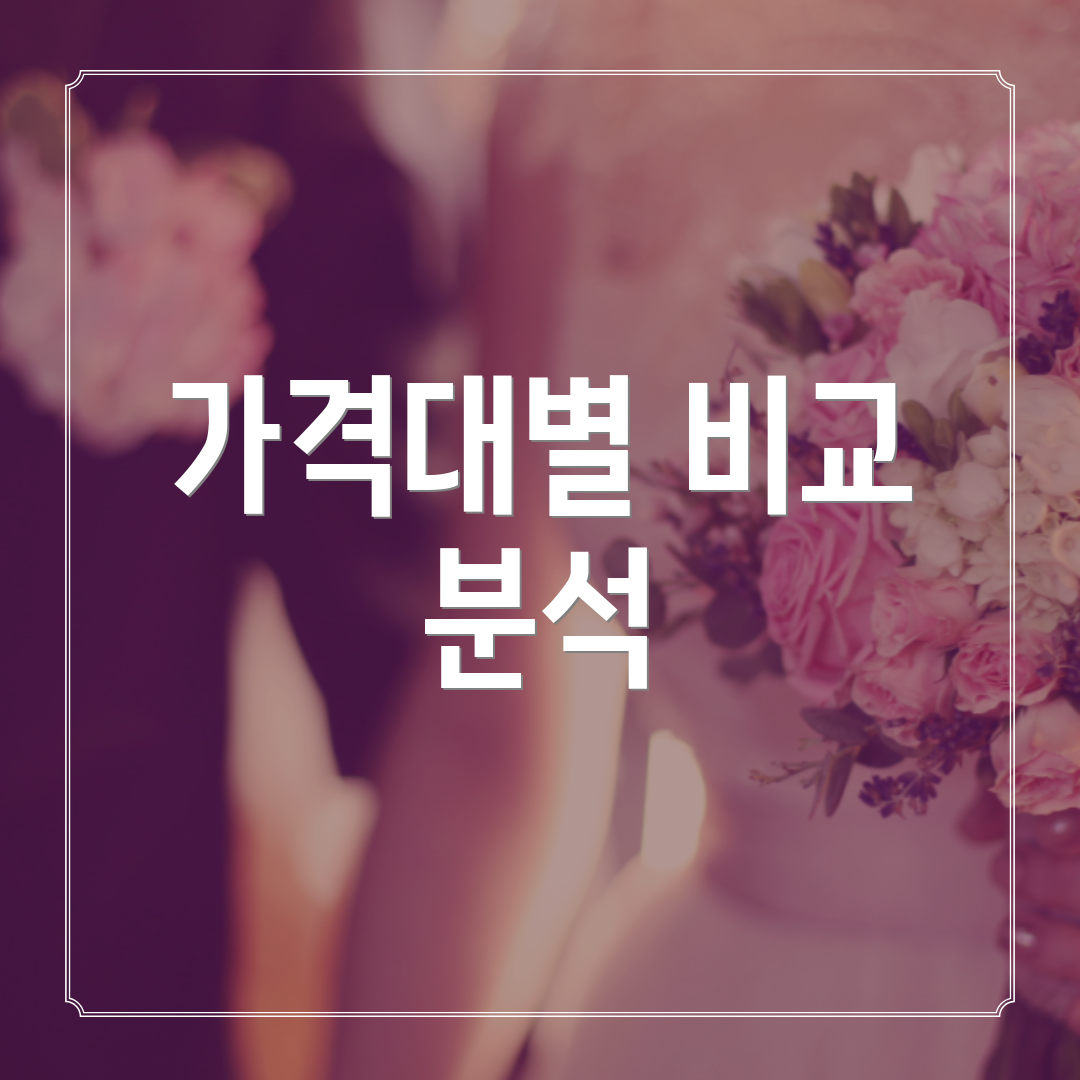 가격대별 비교 분석