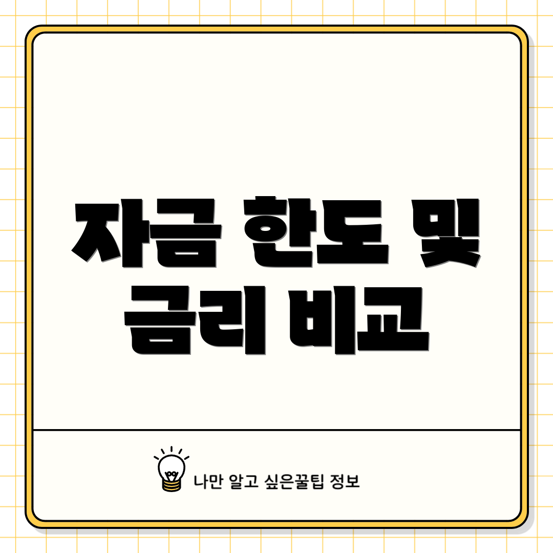 자금 한도 및 금리 비교