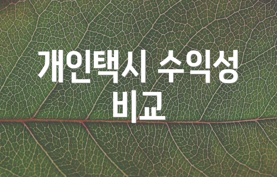 개인택시 수익성 비교