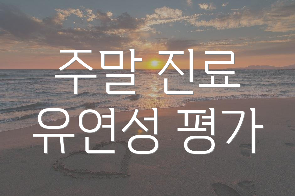 주말 진료 유연성 평가