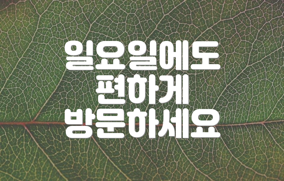 일요일에도 편하게 방문하세요