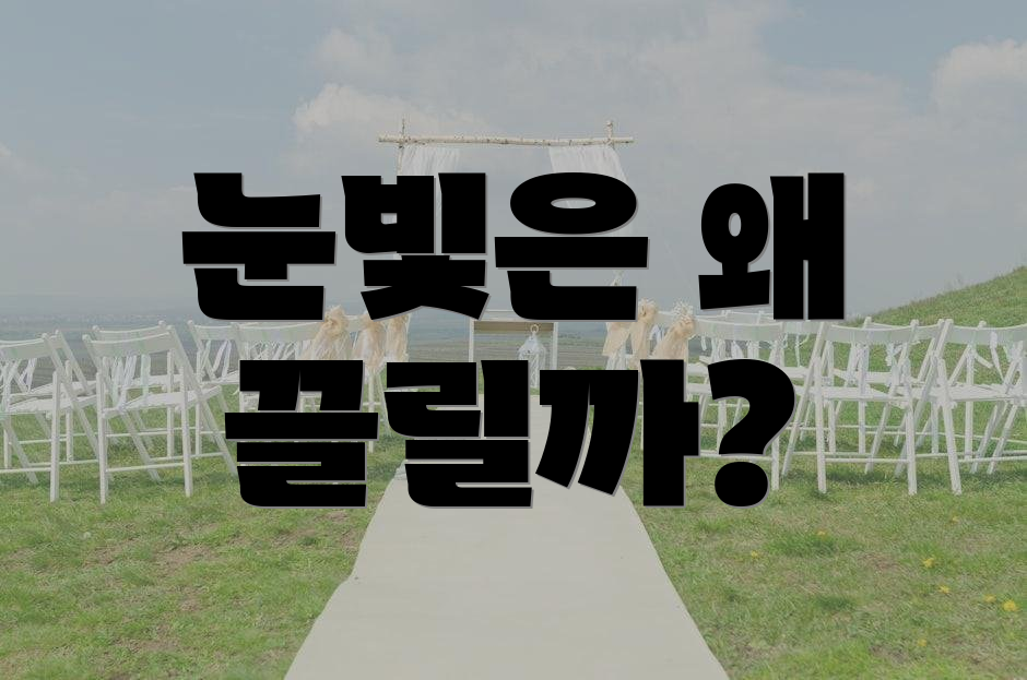 눈빛은 왜 끌릴까?