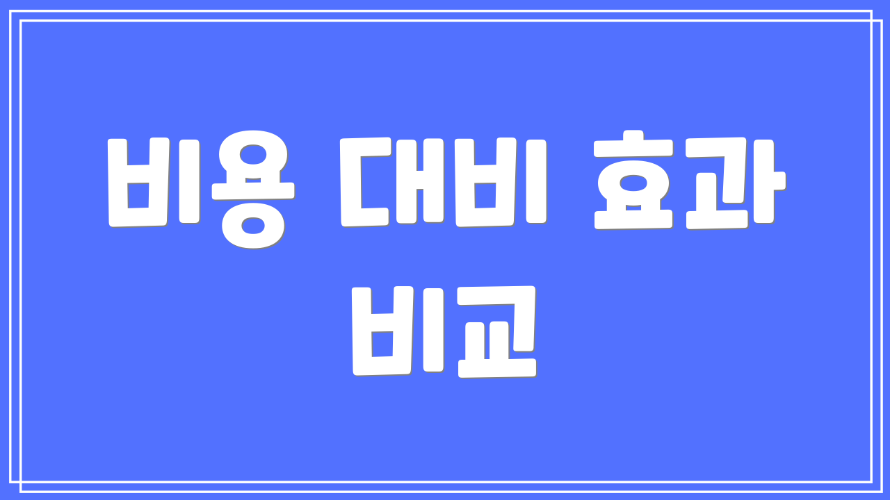 비용 대비 효과 비교