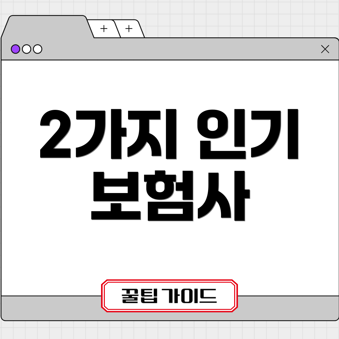 2가지 인기 보험사