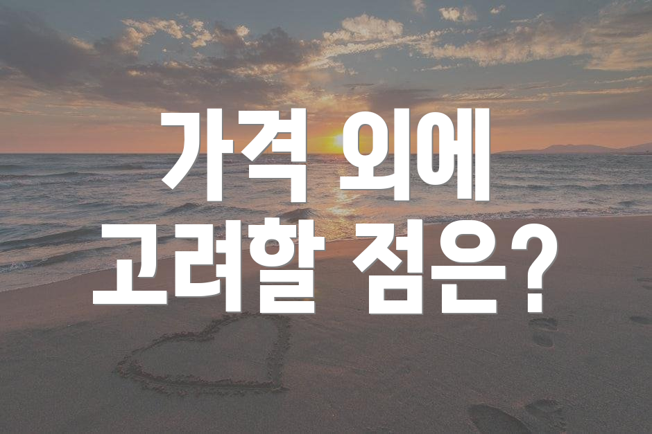 가격 외에 고려할 점은?