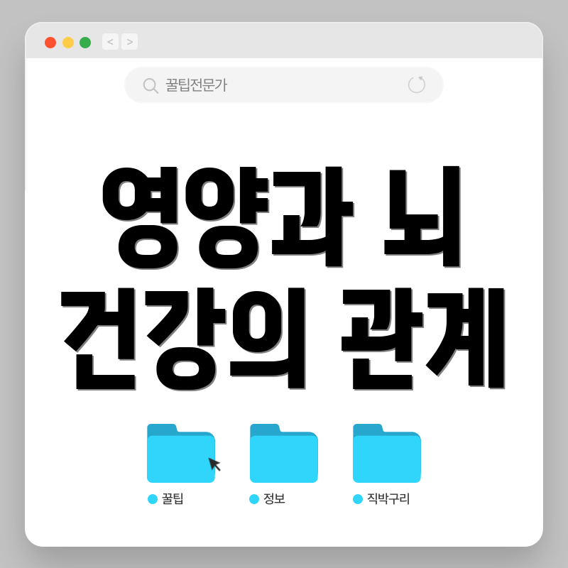 영양과 뇌 건강의 관계