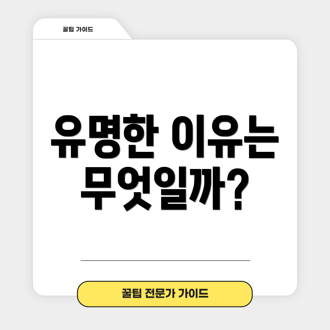 유명한 이유는 무엇일까?
