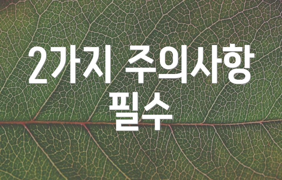 2가지 주의사항 필수