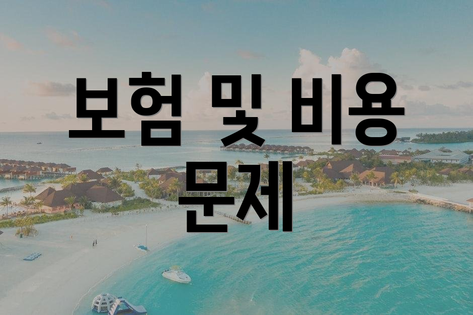 보험 및 비용 문제