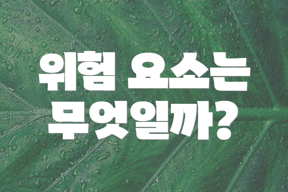 위험 요소는 무엇일까?