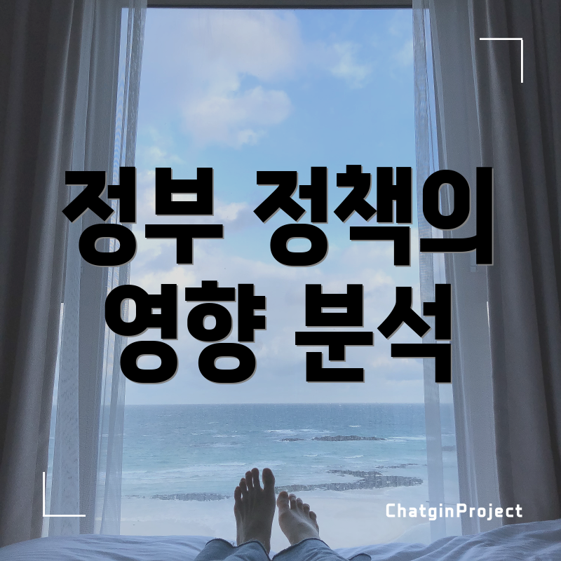 정부 정책의 영향 분석