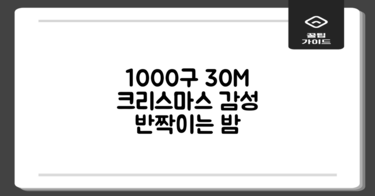 1000구 30M 크리스마스 감성