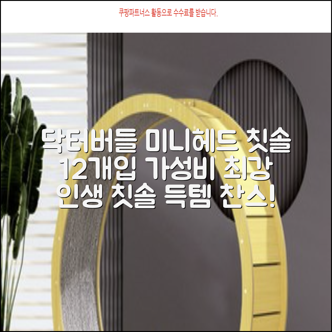 닥터버들 미니헤드 칫솔 세트, 12개입, 1개 추천 리뷰