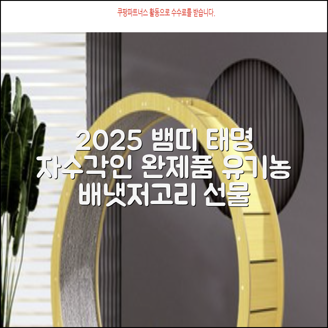 2025 뱀띠 태명 자수 각인 오가닉 배냇저고리 완제품 선물세트 주문맞춤제작 임신출산선물 유기농 인증 선물포장 만삭사진 베이비샤워 청사띠 추천 리뷰